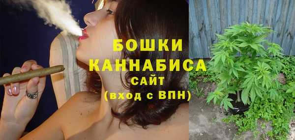 трава Пересвет