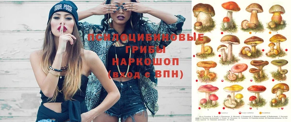амф Кулебаки