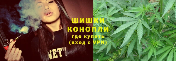 трава Пересвет