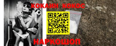 молекула духа Кингисепп