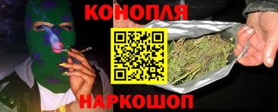 молекула духа Кингисепп