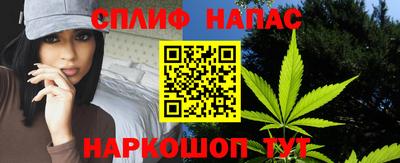 стафф Кандалакша
