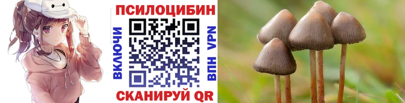 Псилоцибиновые грибы мицелий  Краснокаменск 