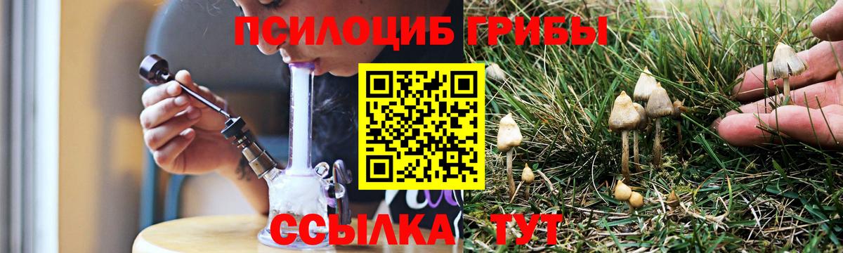 Псилоцибиновые грибы мицелий Краснокаменск